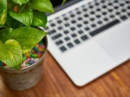 Laptop Radiation - All you need to know about the potential danger and associated risks
