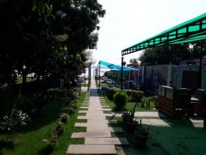 Garden On Concrete