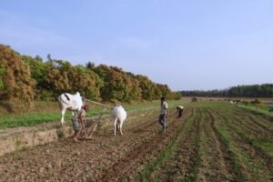 Data shows that the growth of rural India creates a new fulcrum of opportunities