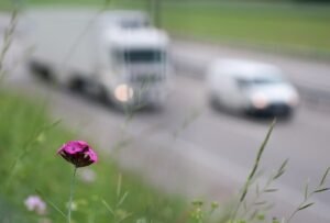 Food Products Grown in a Polluted Environment may Affect Health