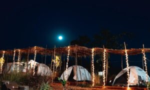 Full Moon at Forest Hills Tala