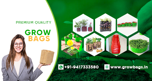 GrowBags.in - Your One-Stop-Shop for All Your Gardening Needs