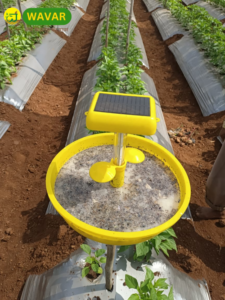 Wavar Solar Trap