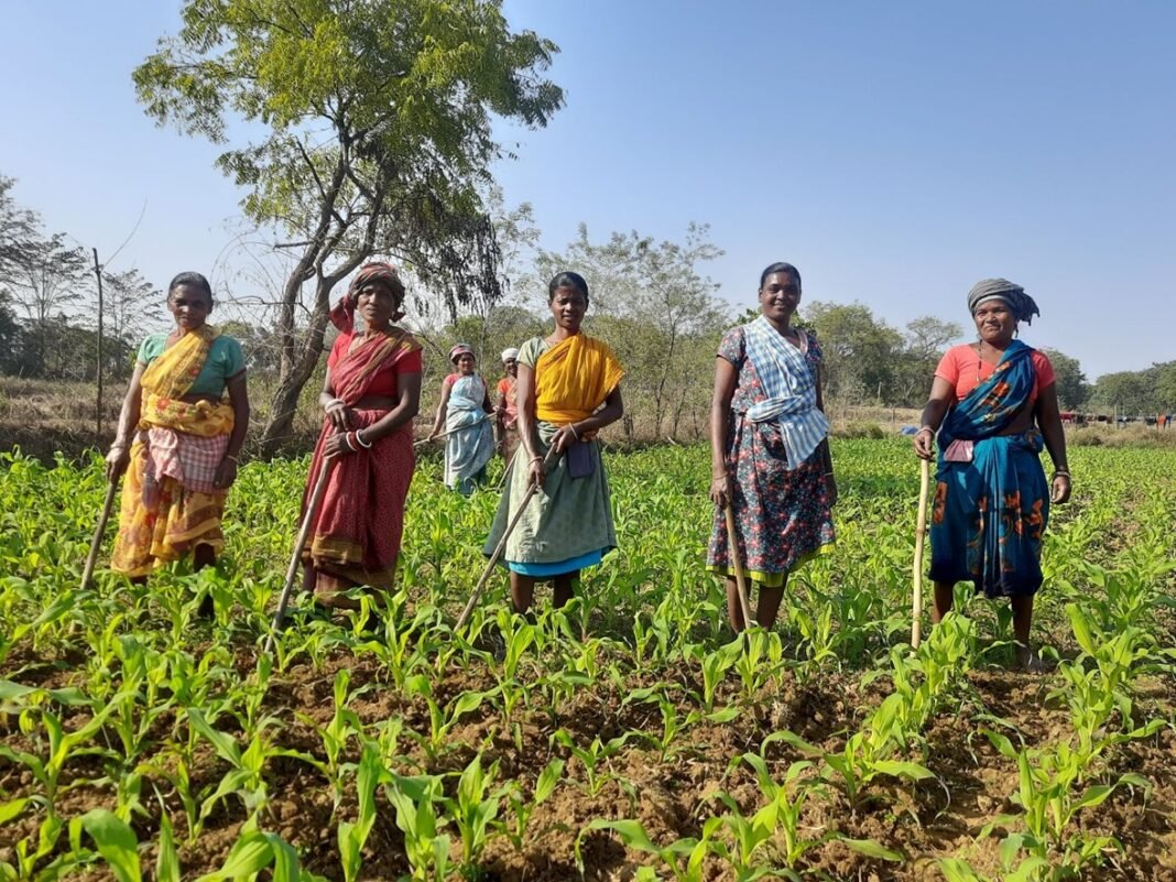 Villgro and 360 ONE Foundation Unlock ₹17.9 Cr in Debt to Empower High-Impact Social Enterprises Turning ₹2.35 Crore of Grant into ₹17.9 Crore of Impact - How Villgro-360 ONE’s Capital For Impact is Benefitting Thousands of Marginalised Farmers