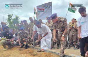 25K Palm Tree Seeds Plantation Drive