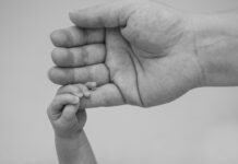 LIC Protection Plus (Plan 886): A New-Age ULIP Blending Life Cover With Market-Linked Growth Life Cover With Market-Linked Growth