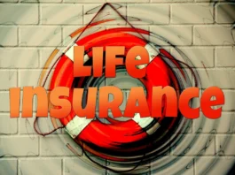 Life Insurance Advisor helps you navigate LIC term plans, riders, and evolving tax rules