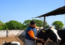 D2C Dairy & Essentials Brand Doodhvale Farms Secures $1M from Atomic Capital to Expand Vertically Integrated Operations Aman J Jain- Co-Founder, CEO, Doodhvale Farms