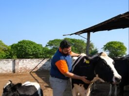 Aman J Jain- Co-Founder, CEO, Doodhvale Farms