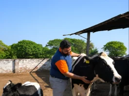 Aman J Jain- Co-Founder, CEO, Doodhvale Farms