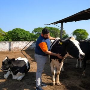 Aman J Jain- Co-Founder, CEO, Doodhvale Farms