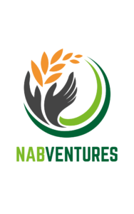 NABVENTURES Logo